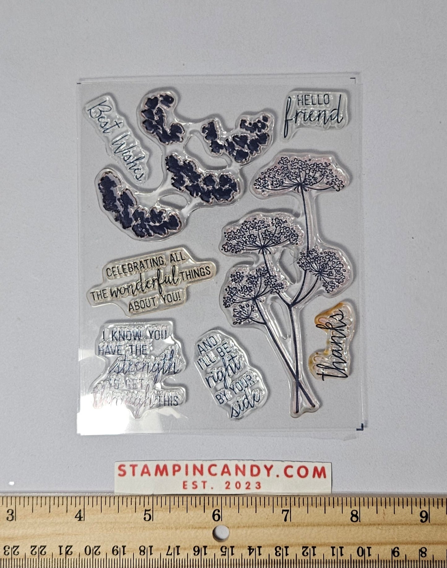 Stampin Up - Queen Anne's Lace