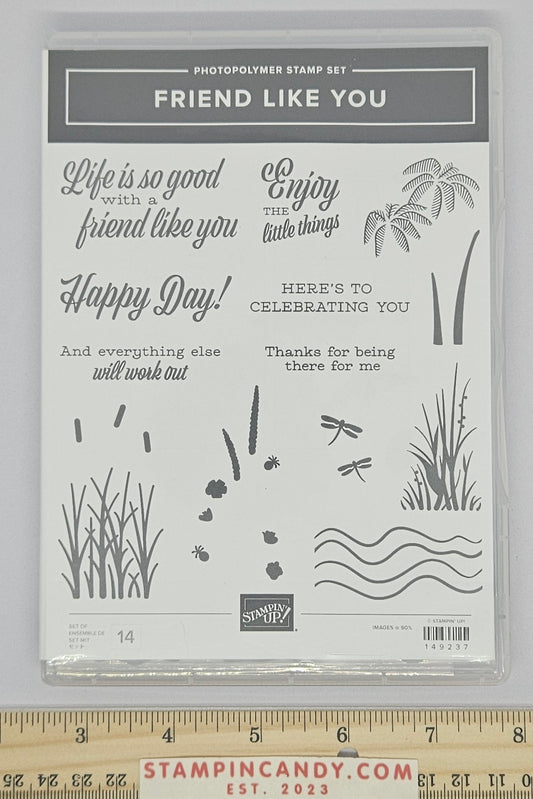 Stampin Up - Friend Like You