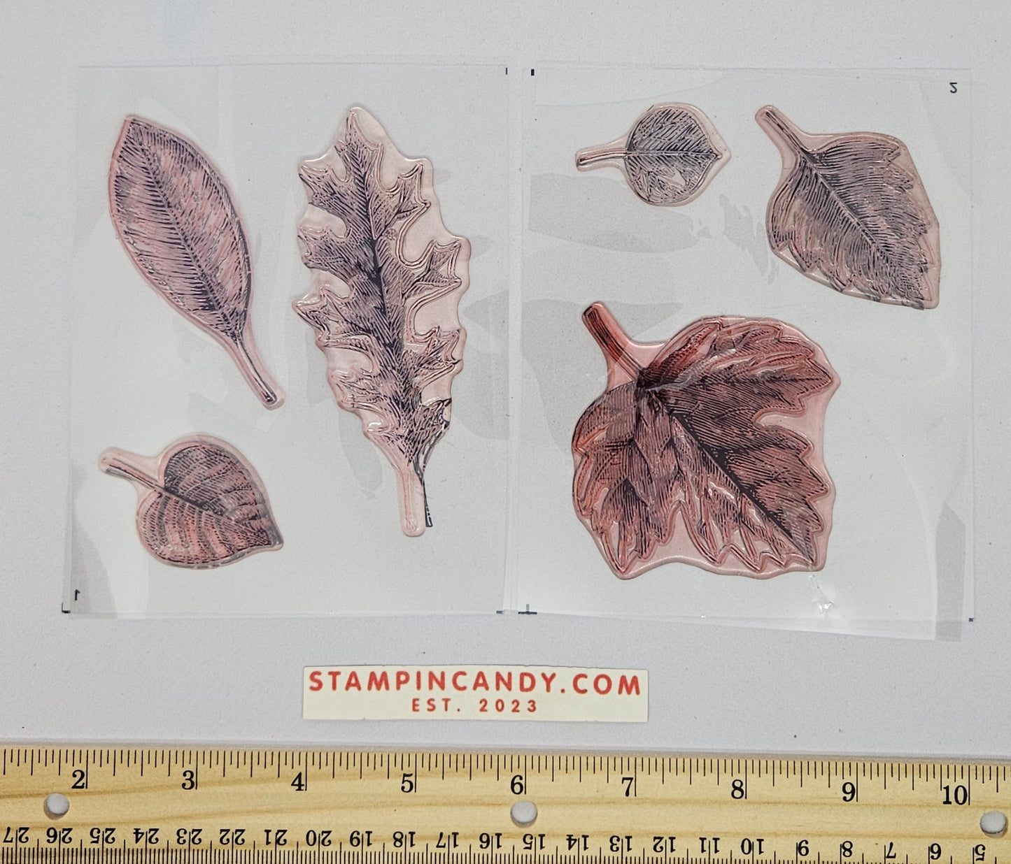 Stampin Up - Vintage Leave w/ Leaflets Dies