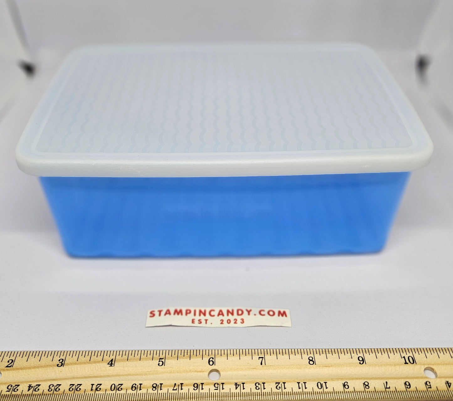 Vintage Blue Tupperware Container - Fridge Smart - Fruits and Veggies