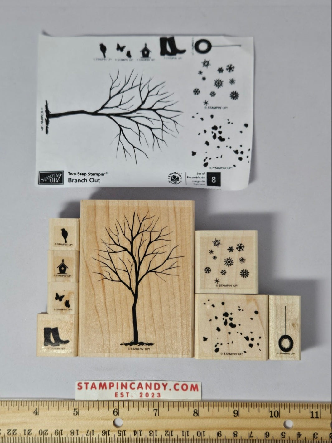 Stampin Up - Branch Out