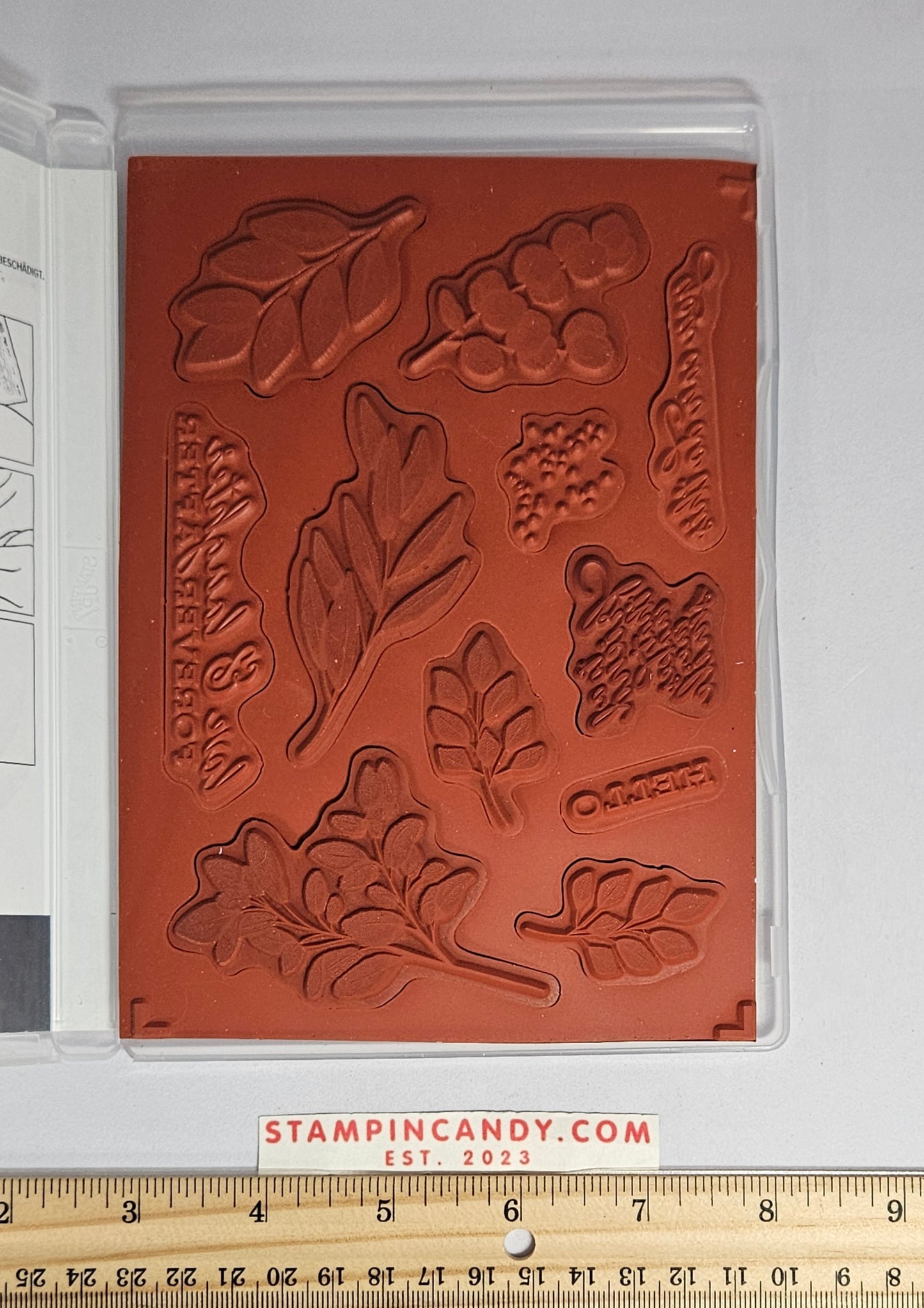 Stampin Up - Forever Fern