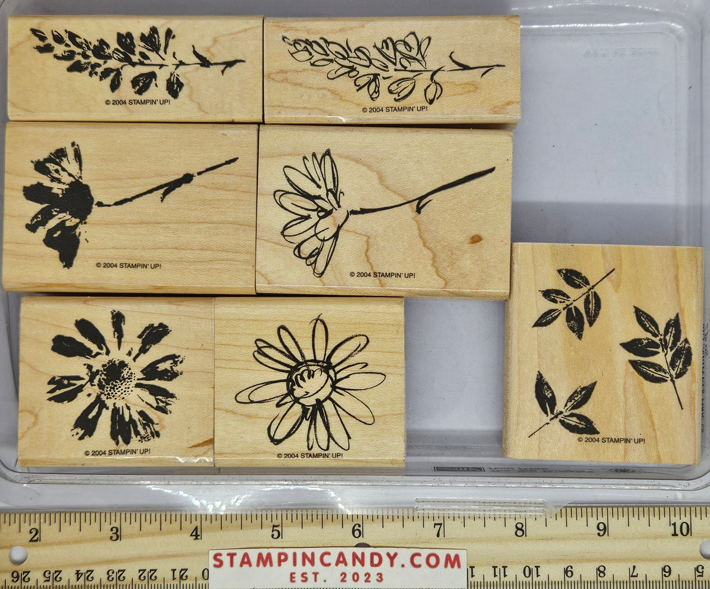 Stampin Up - Petal Prints Stamp Set