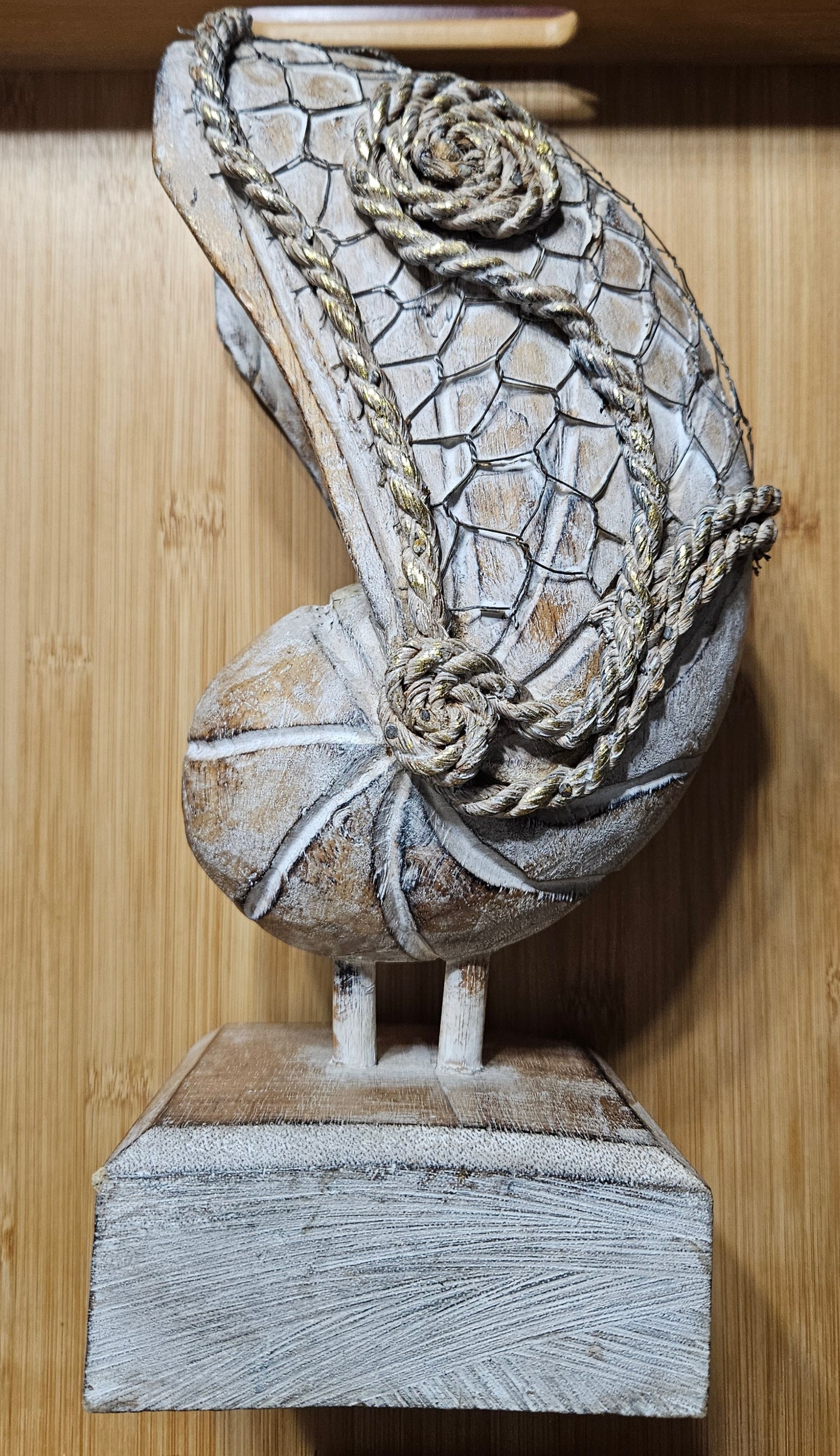 Large Nautilus Shell Decor