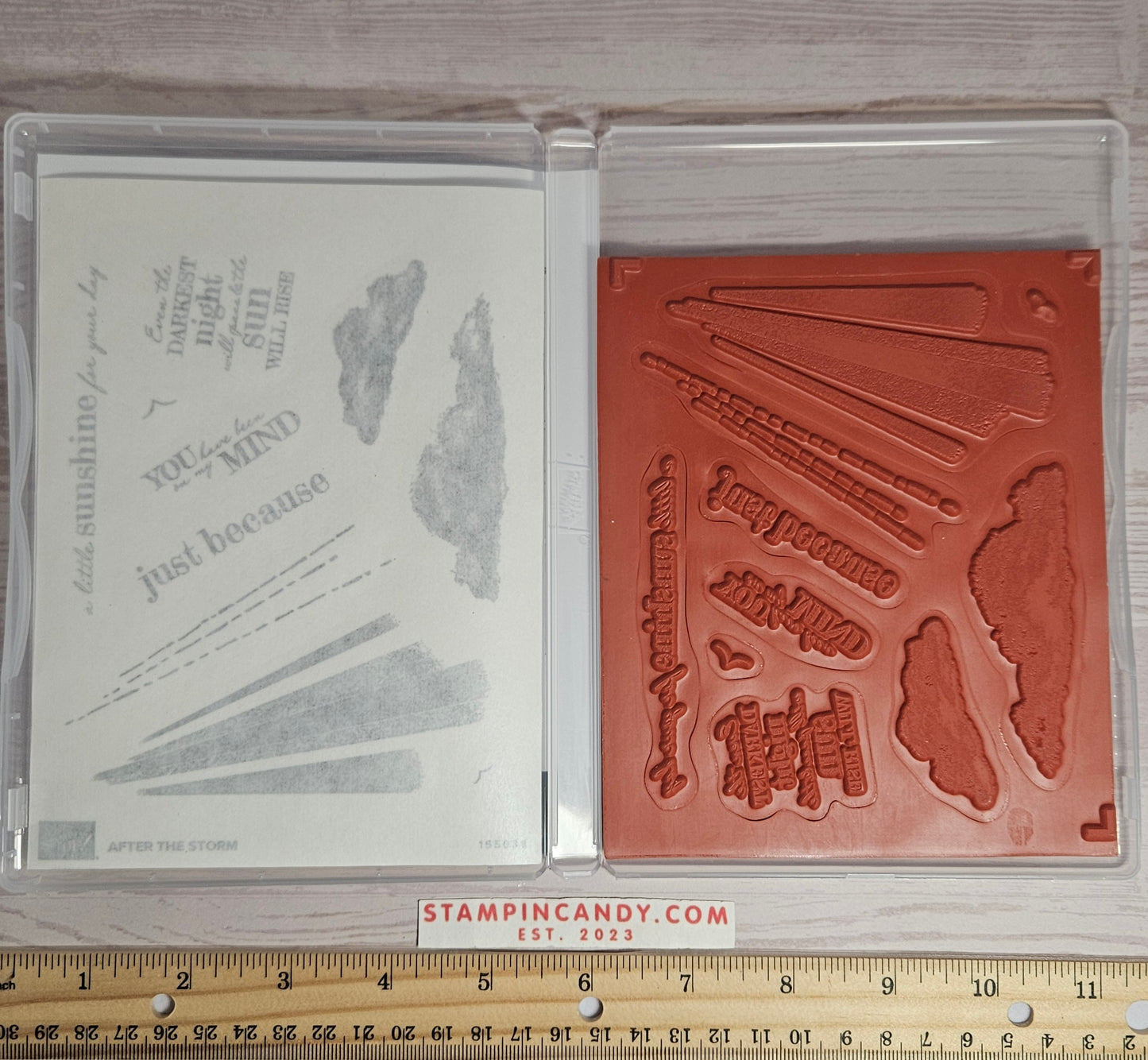 Stampin Up - After The Storm