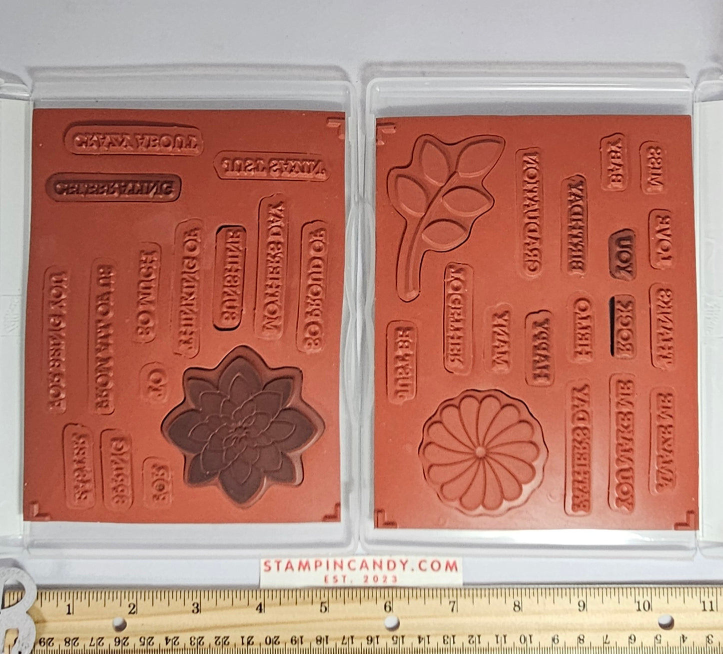 Stampin Up - Crazy About You (Sets 1 and 2 of 2) with Hello You Dies