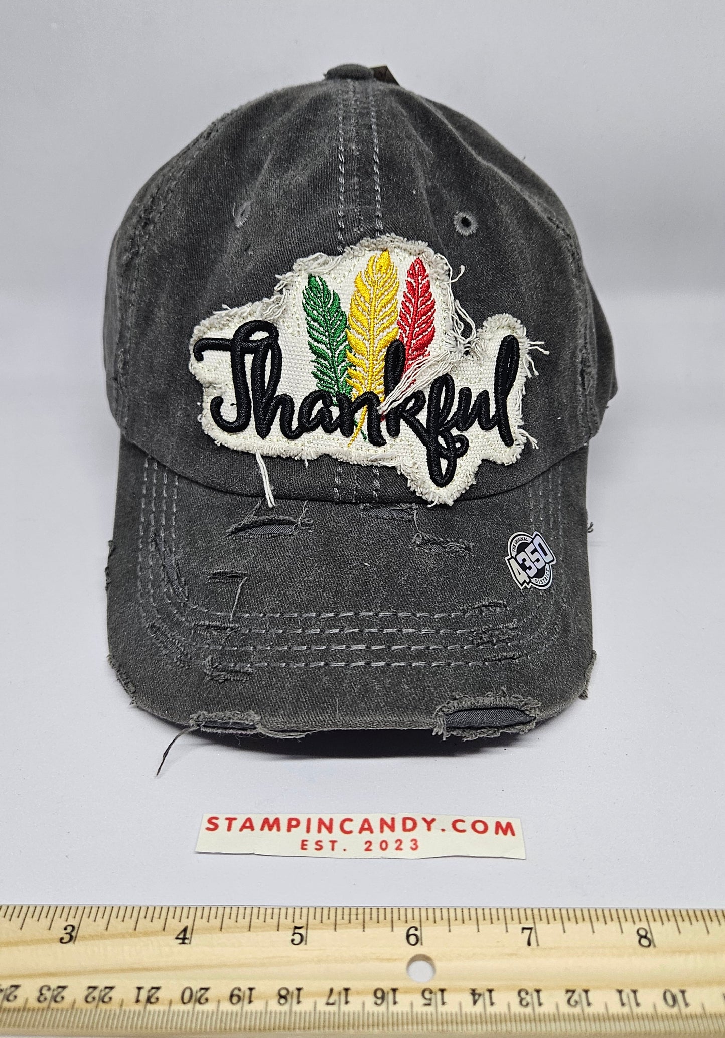 Thankful Hat / Cap - 4350 District