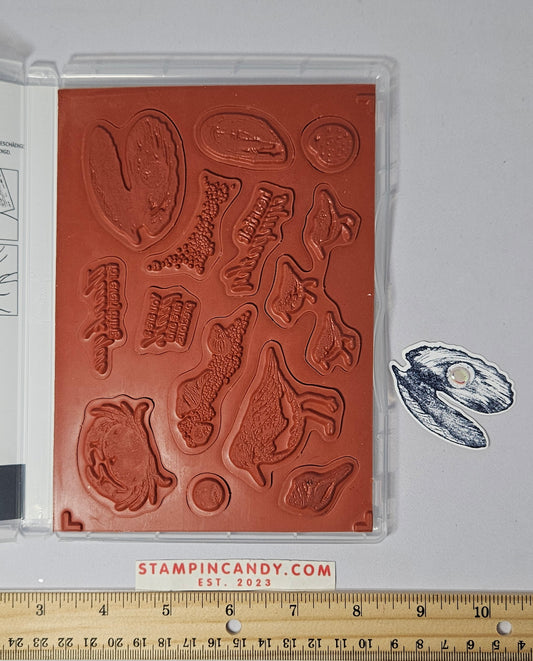 Stampin Up - Seaside Bay