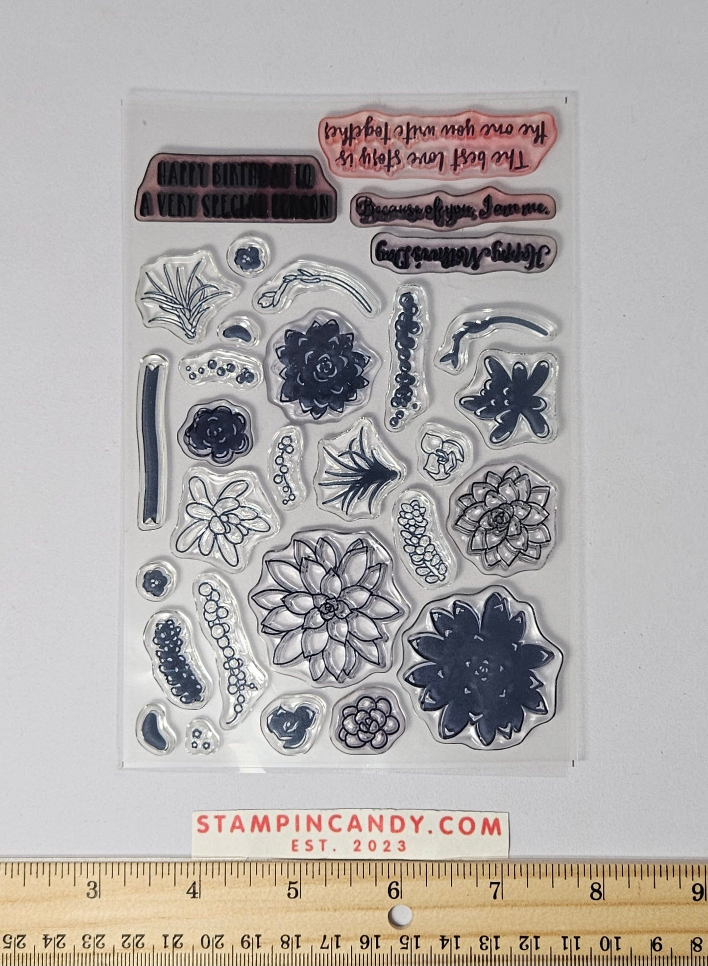 Stampin Up - Oh So Succulent