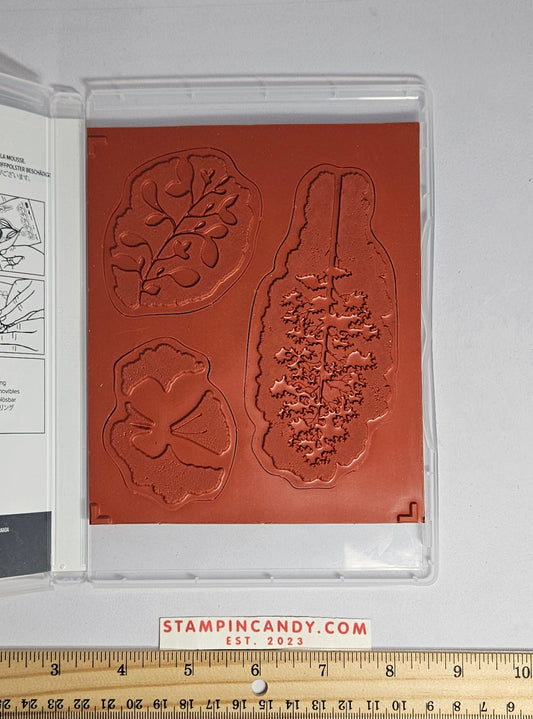 Stampin Up - Amazing Silhouettes