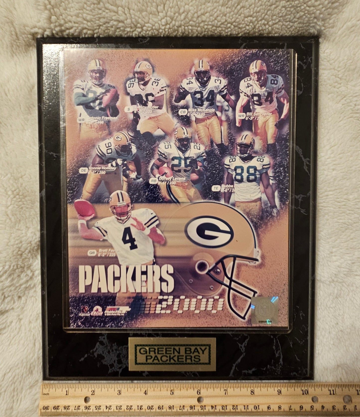 Green Bay Packers 2000 - Wall Plaque/Picture