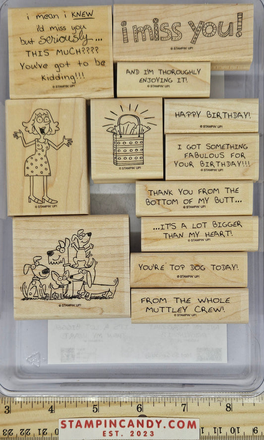 Stampin Up - Not So Seriously Stamp Set