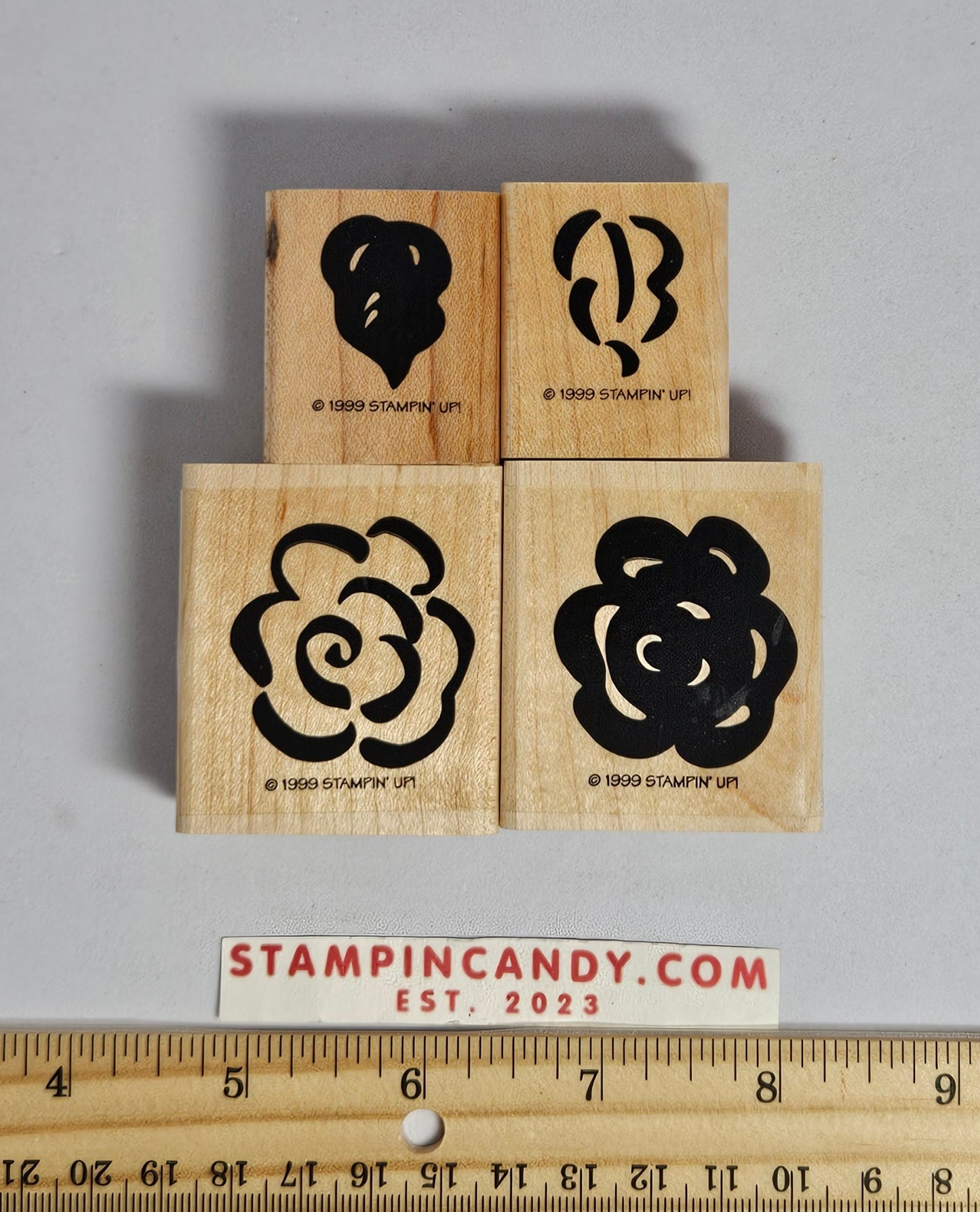 Stampin Up - Brushstroke Blossoms (2 Step)