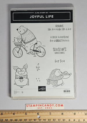 Descriptive image text