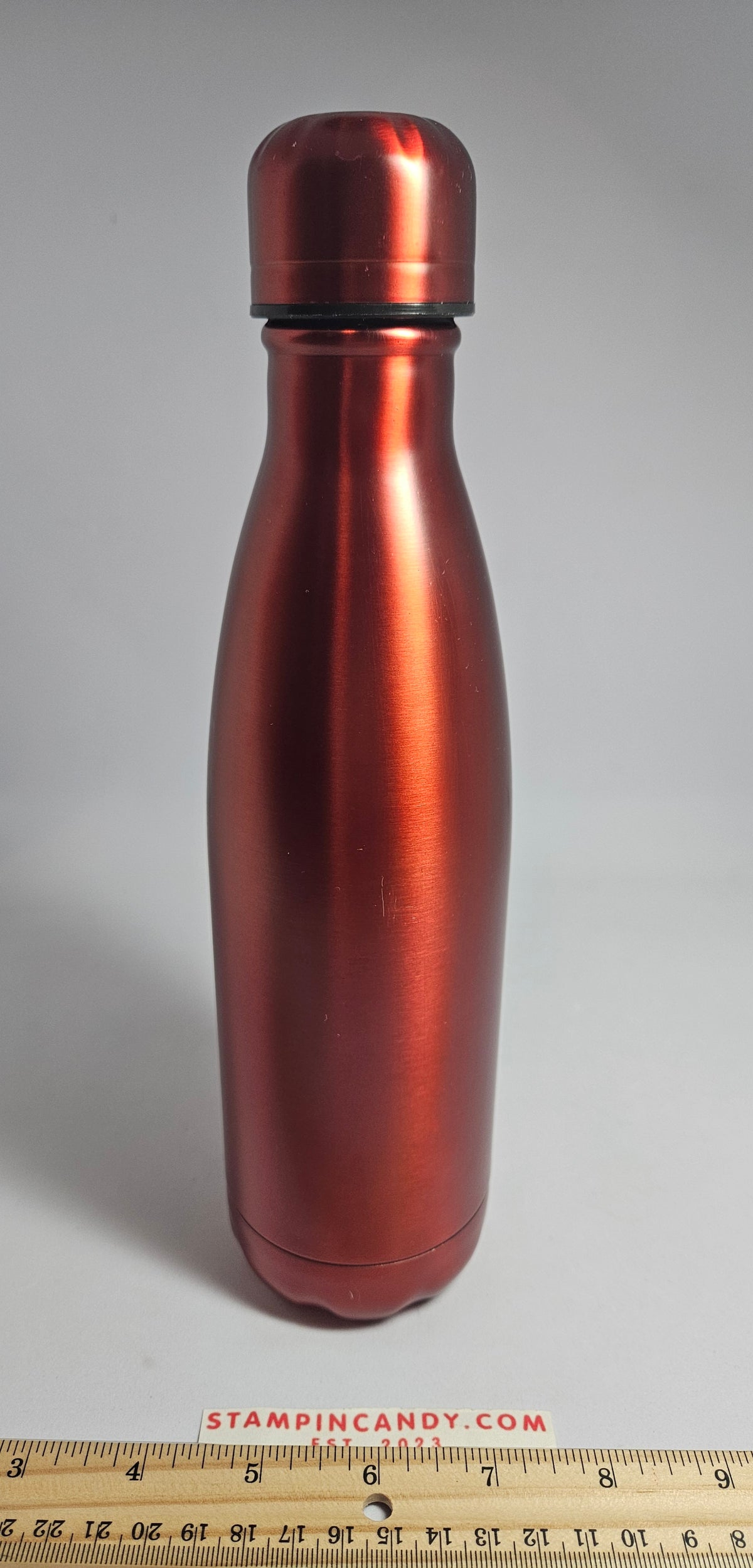 Starbucks + S'well Stainless Steel 17 oz Water Bottle