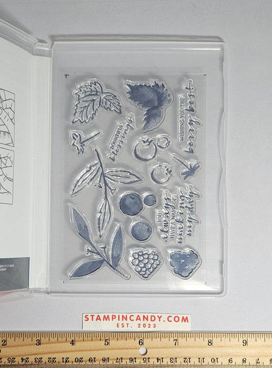 Stampin Up - Berry Blessings