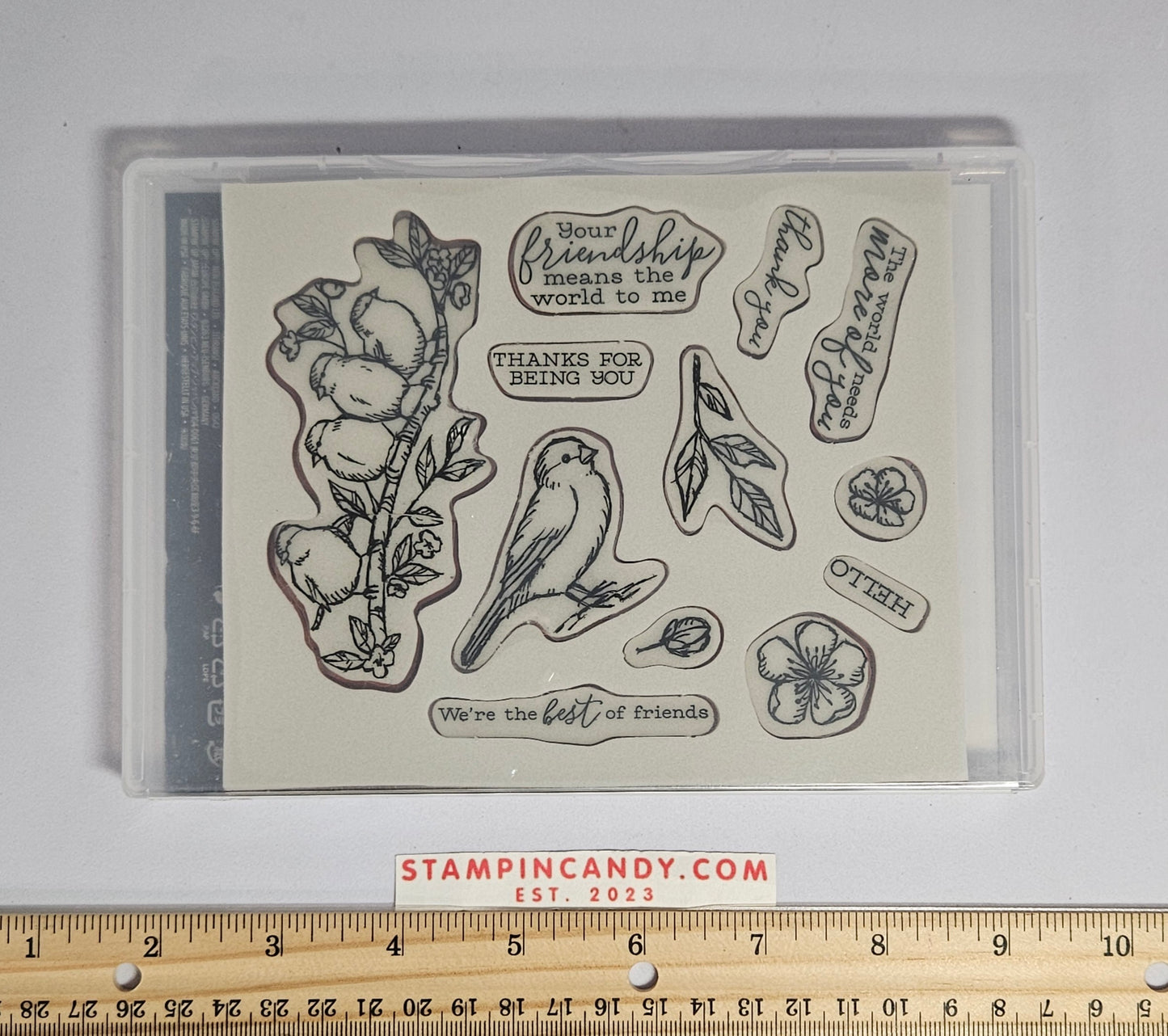 Stampin Up - Free as a Bird