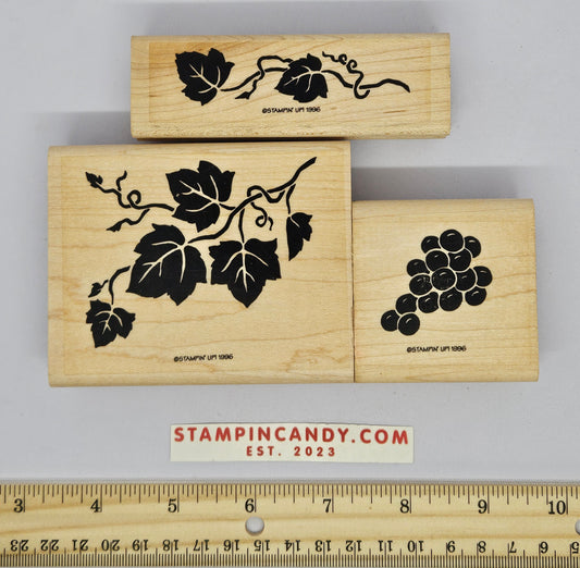 Decorative Grapes - Stampin Up 1996 *MISSING 1 STAMP*