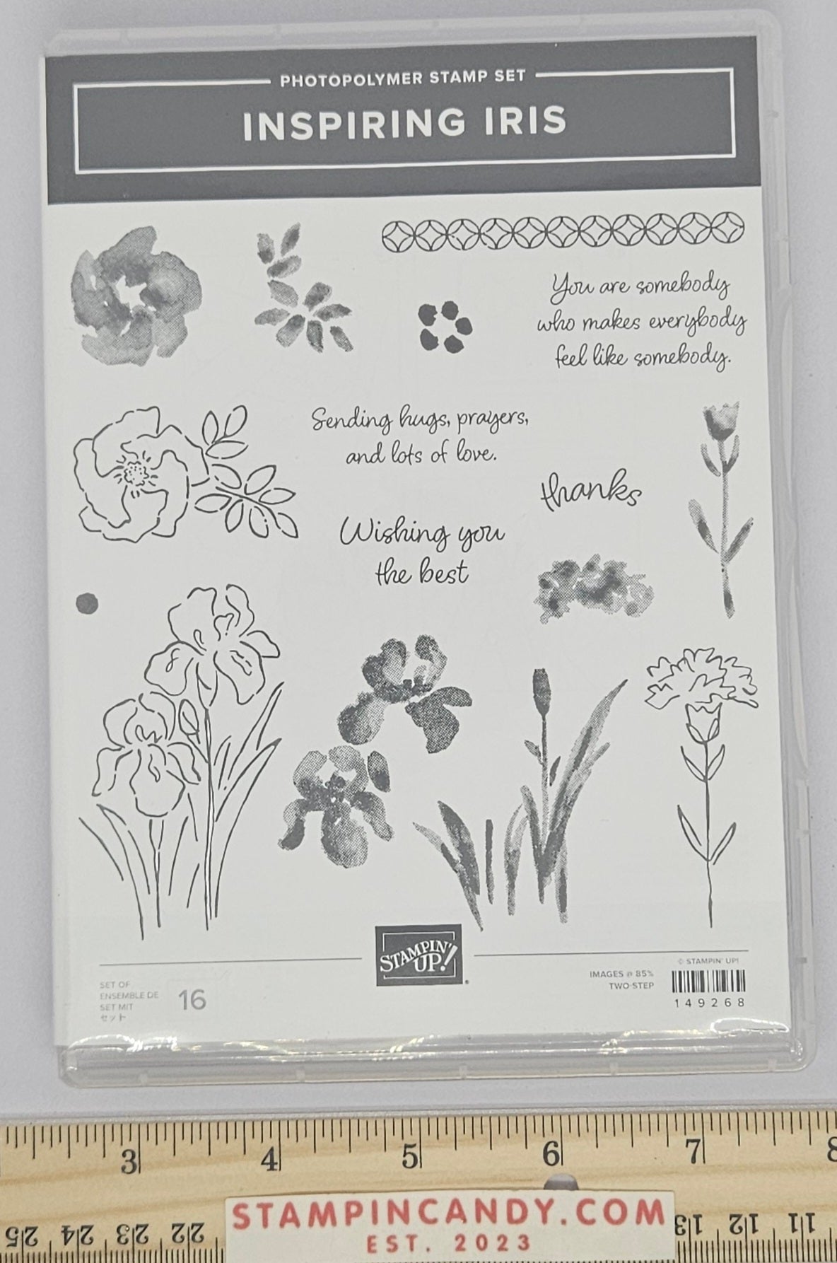 Stampin Up - Inspiring Iris