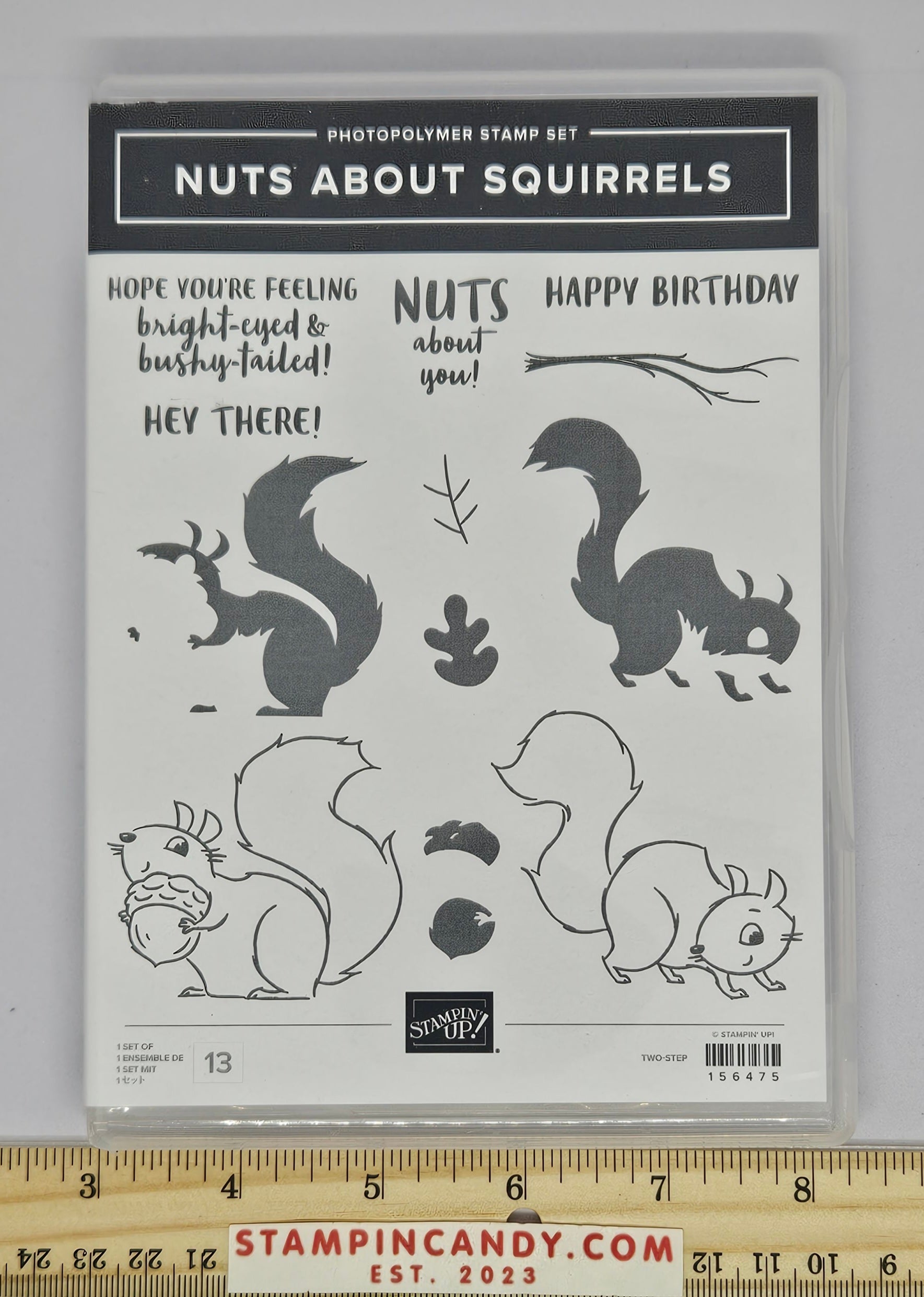 Stampin Up - Nuts About Squirrels – StampinCandy.com