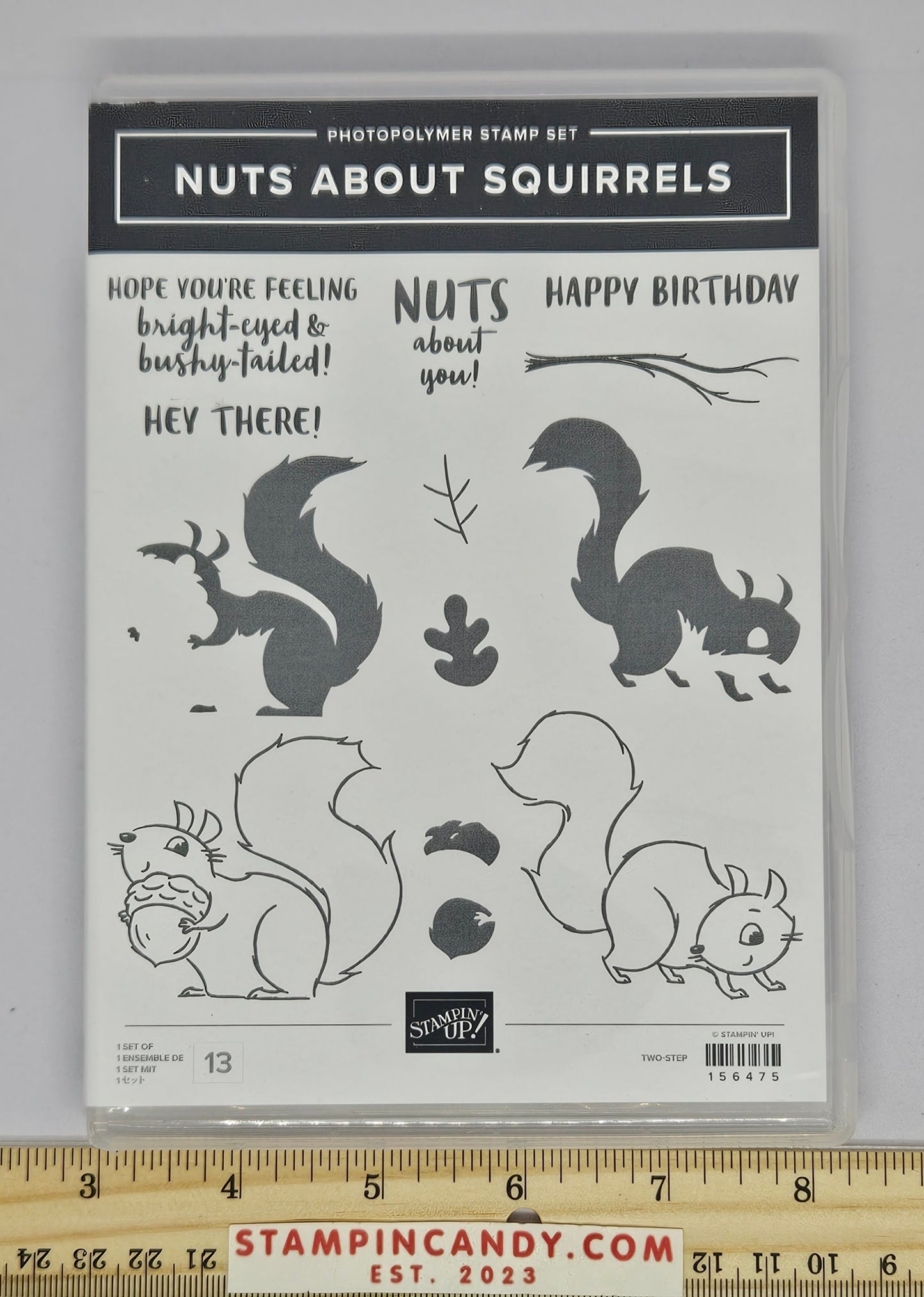 Stampin Up - Nuts About Squirrels