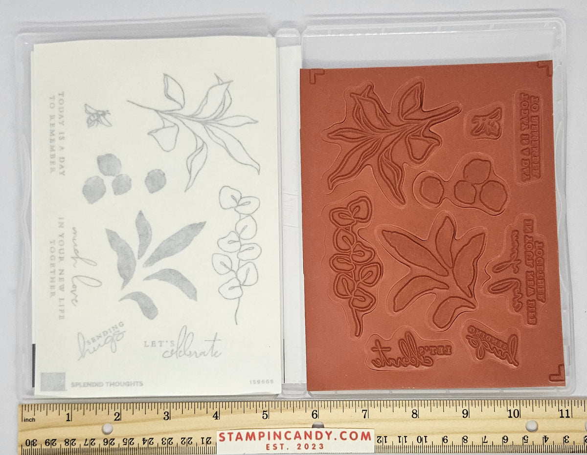 Sentence With Splendid Stampin Up - Splendid Thoughts with Splendid Stems Dies – StampinCandy.com