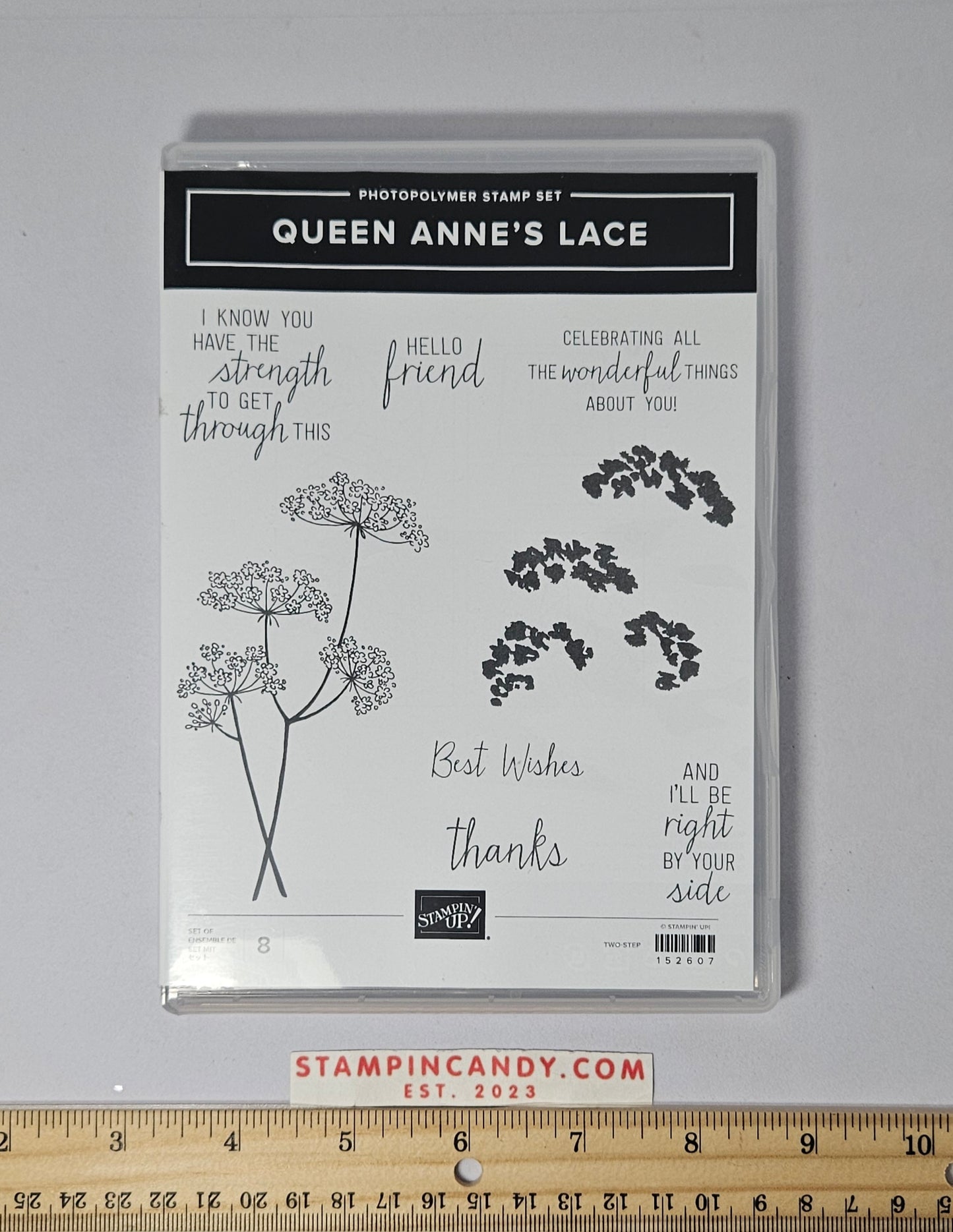 Stampin Up - Queen Anne's Lace