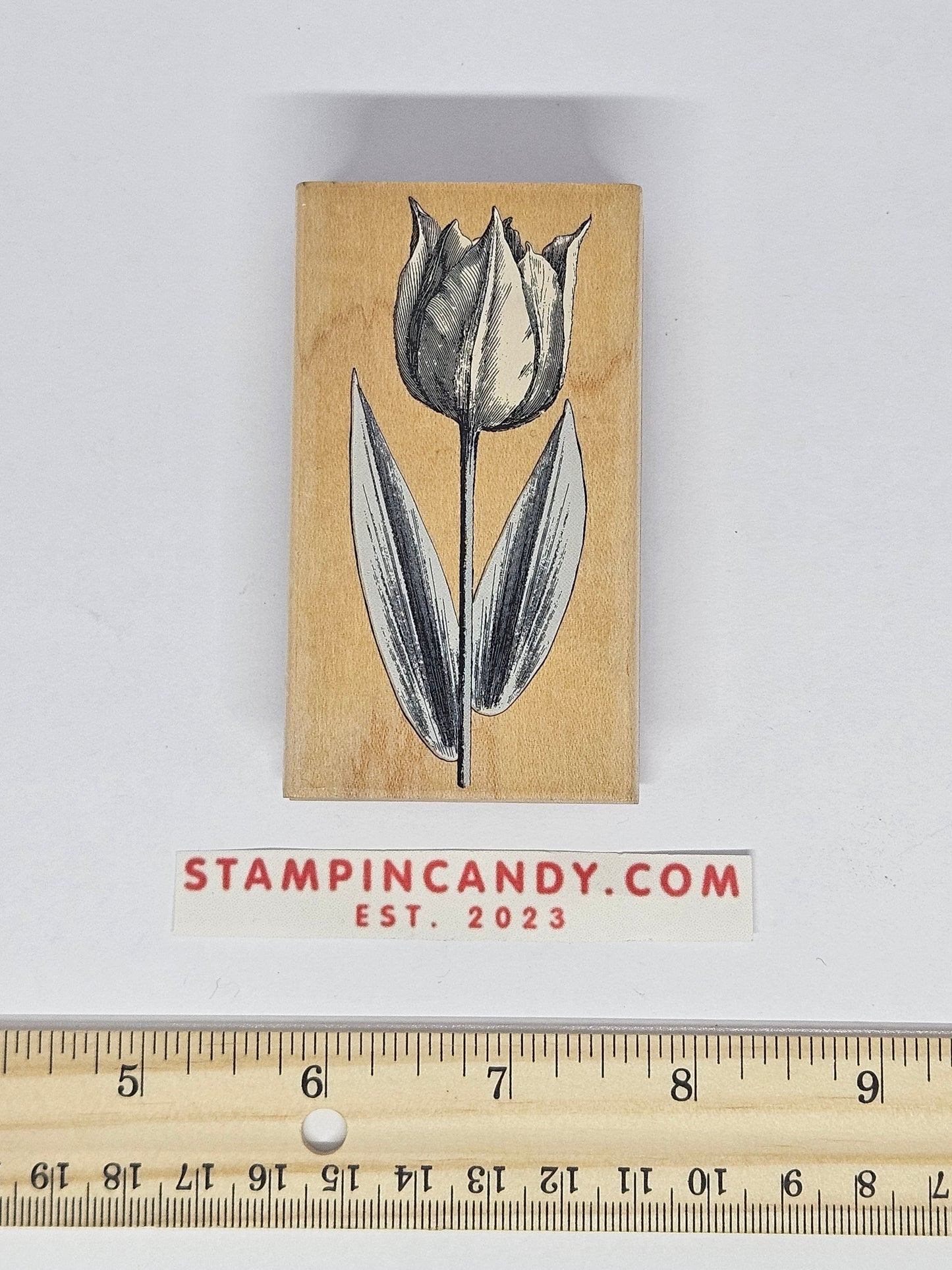 Hero Arts F1936 - Small Tulip Etching