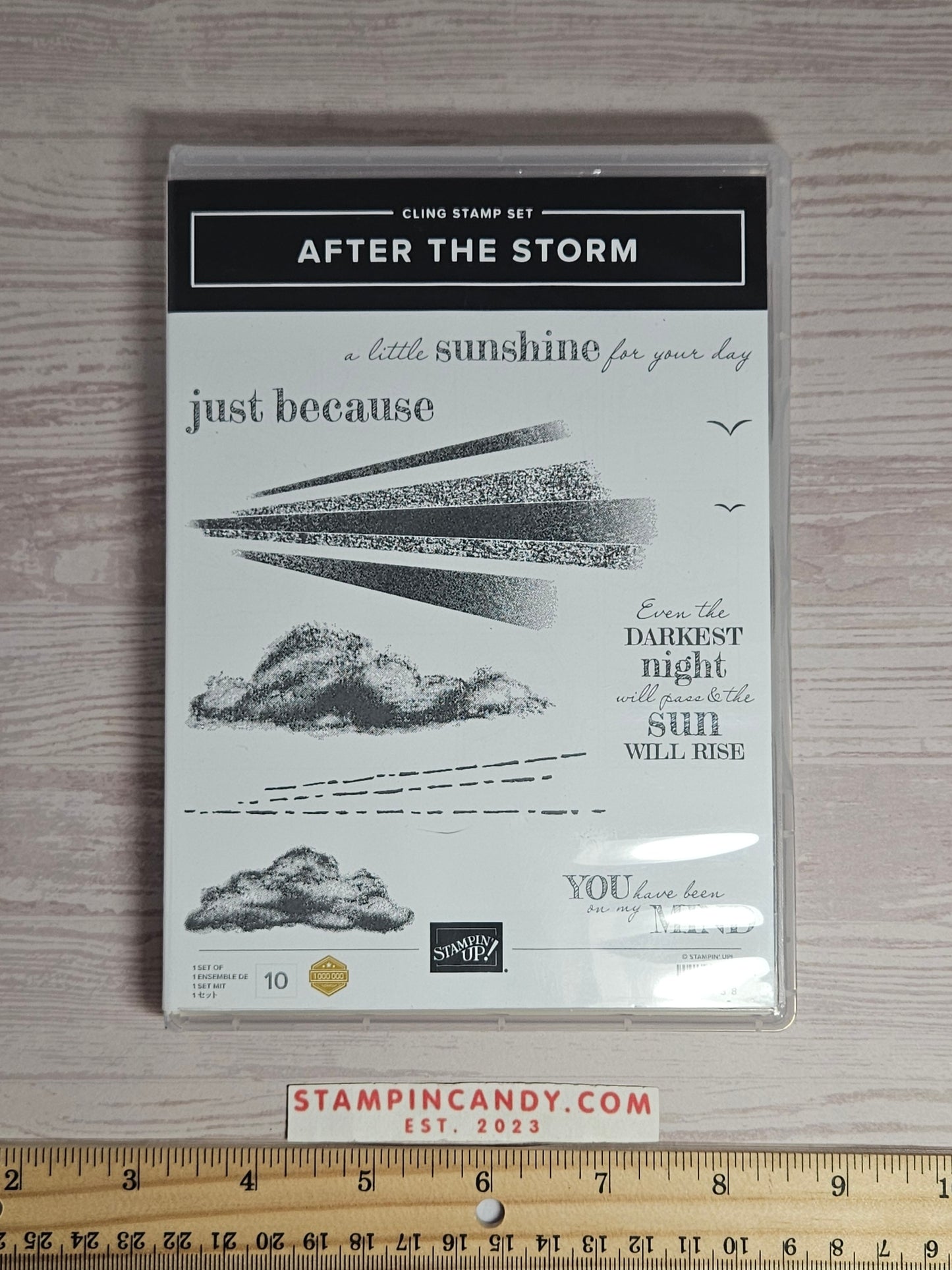 Stampin Up - After The Storm