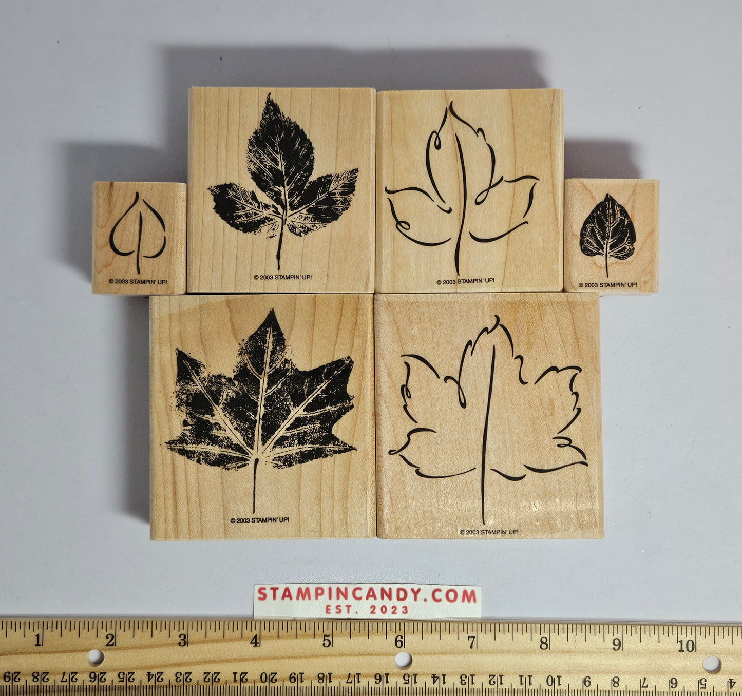 Stampin Up - Lovely Leaves (2 Step)