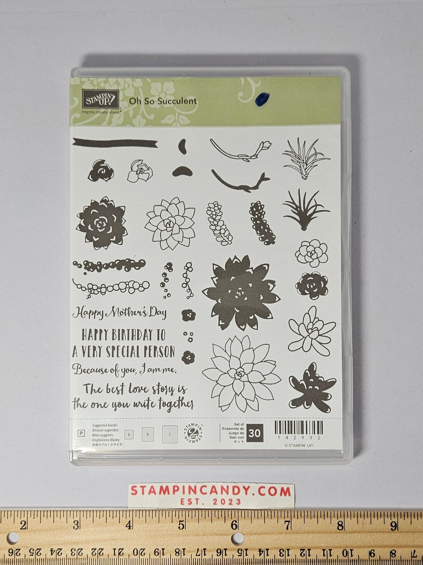 Stampin Up - Oh So Succulent