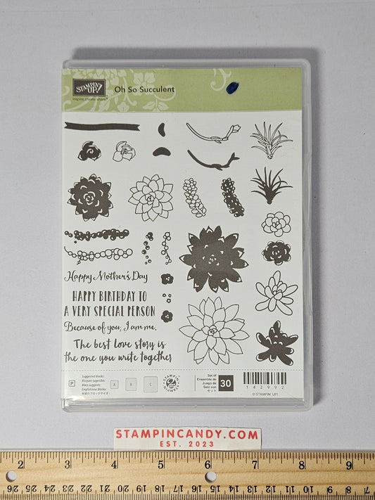 Stampin Up - Oh So Succulent