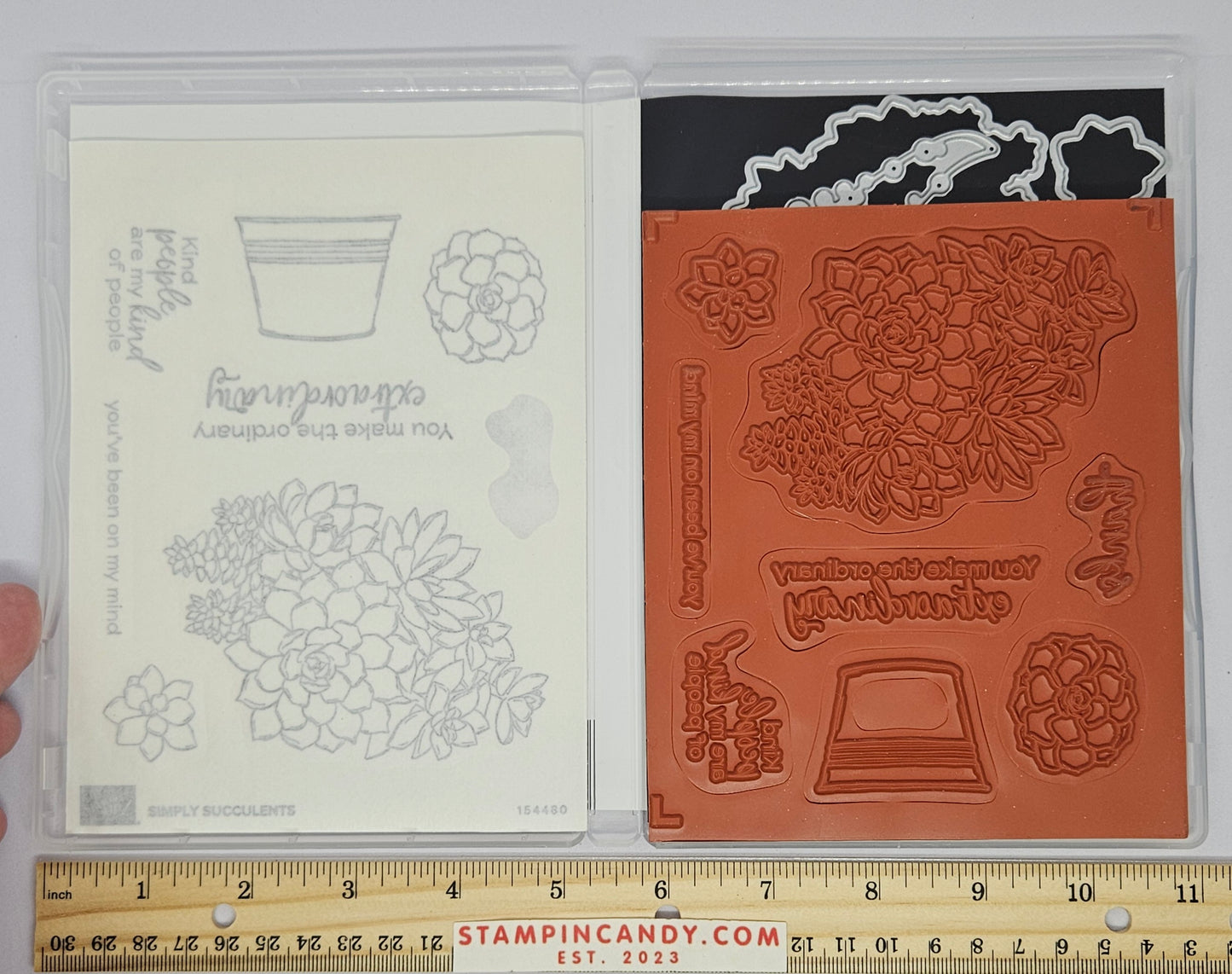 Stampin Up - Simply Succulents with Potted Succulents Dies