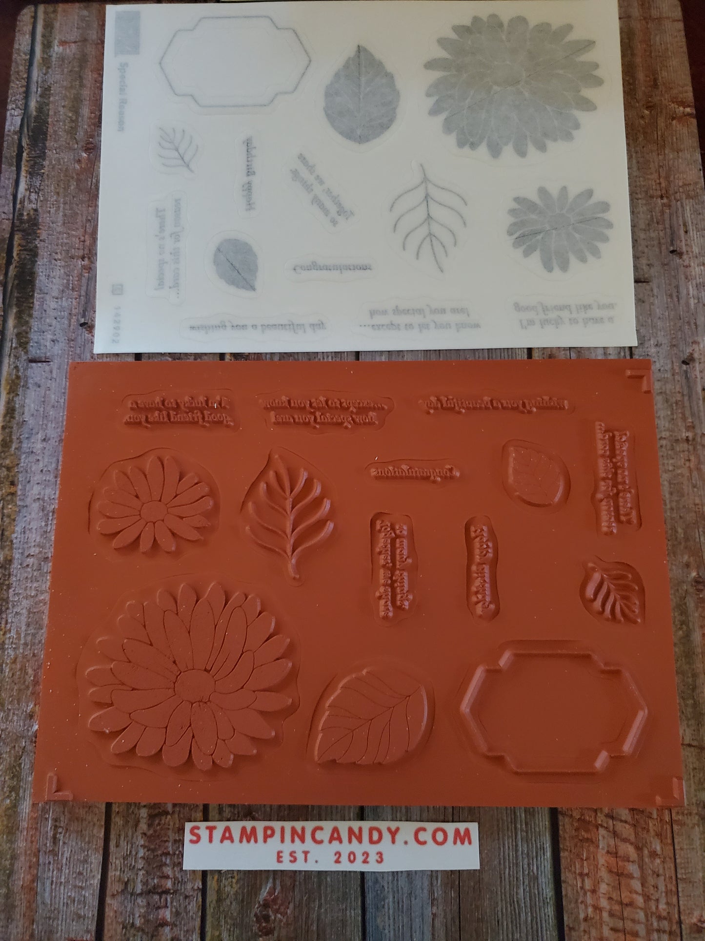 Stampin' UP! "Special Reason" Stamp Set with "Stylish Stems" Dies