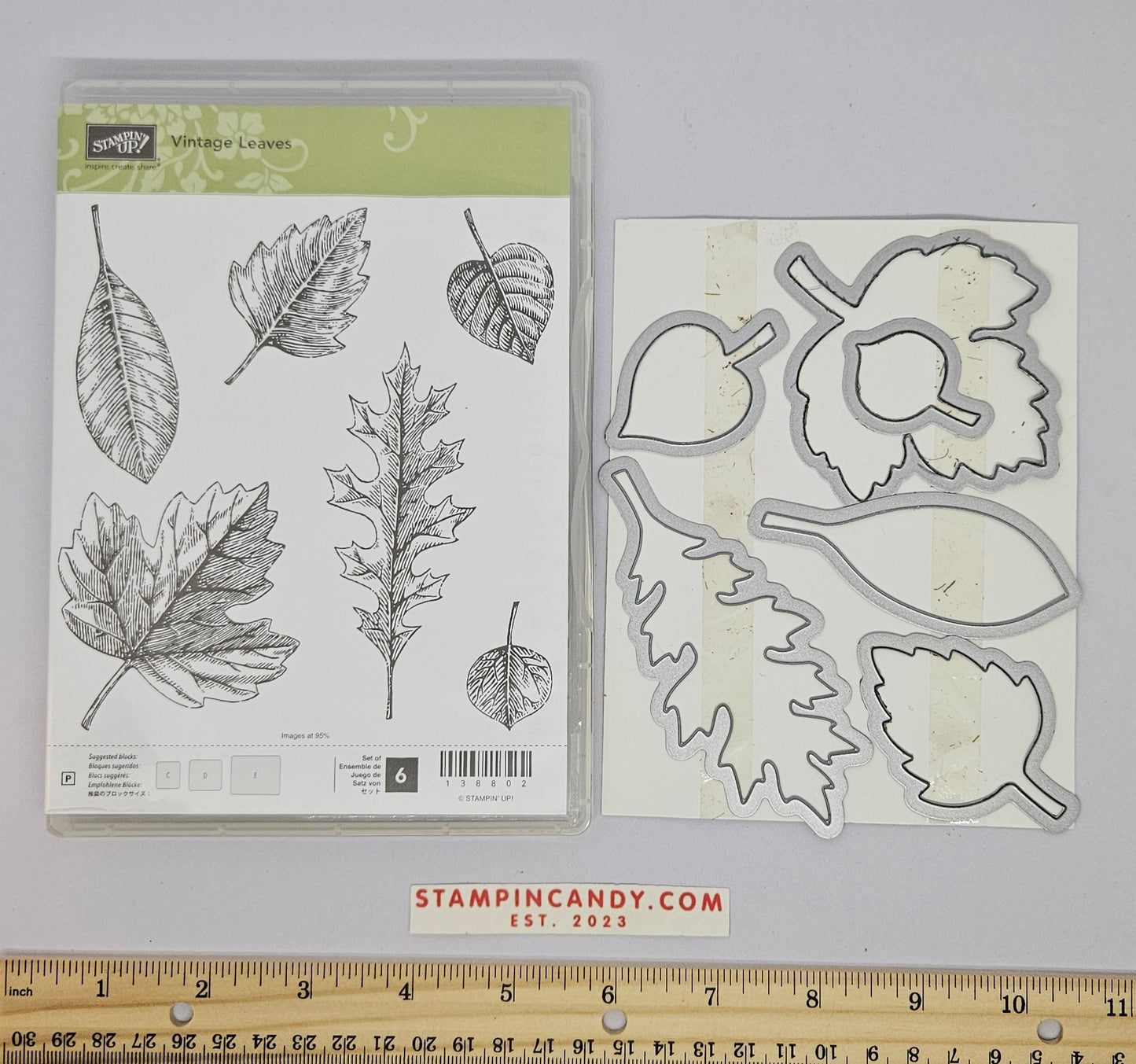 Stampin Up - Vintage Leave w/ Leaflets Dies