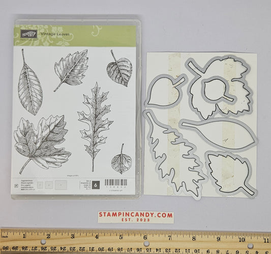 Stampin Up - Vintage Leave w/ Leaflets Dies