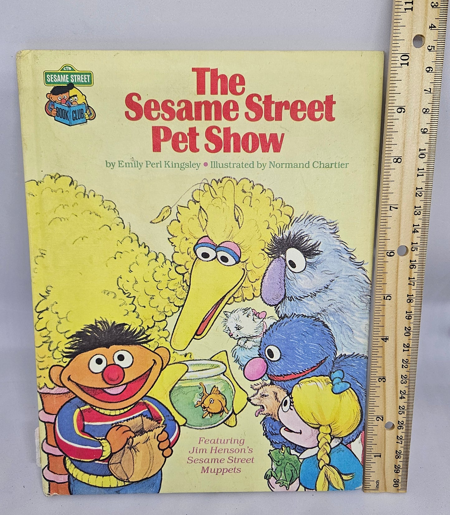 Vintage - The Sesame Street Pet Show 1980 Book