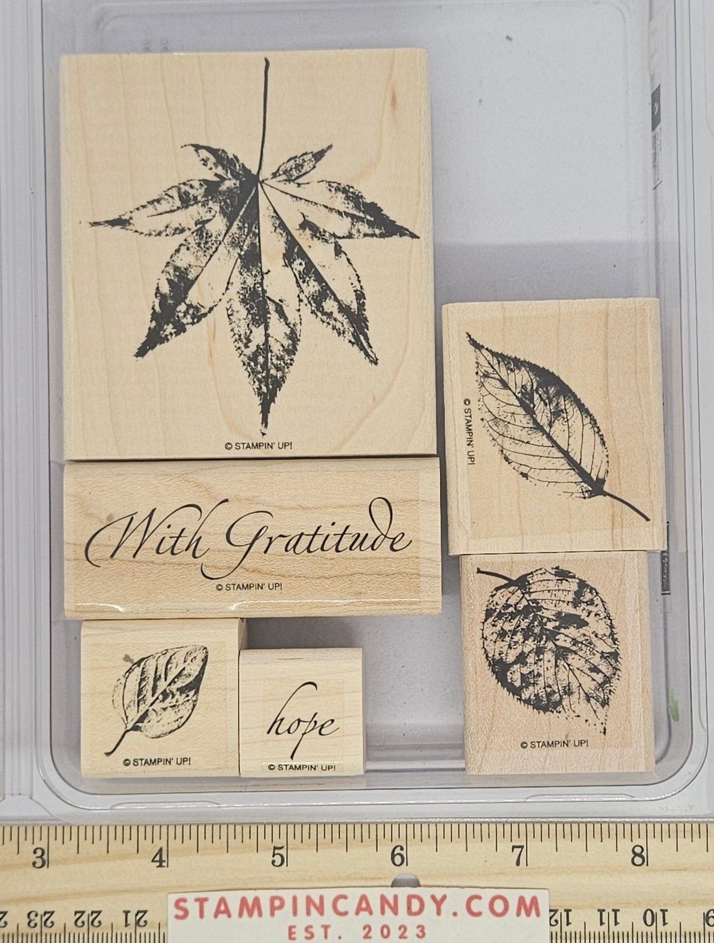 Stampin Up - With Gratitude