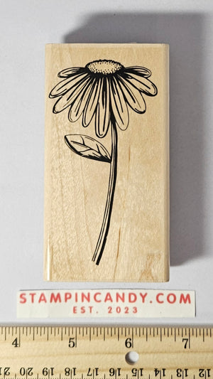 Sketched Flower Stamp - 2009 Stampabilities IR1039