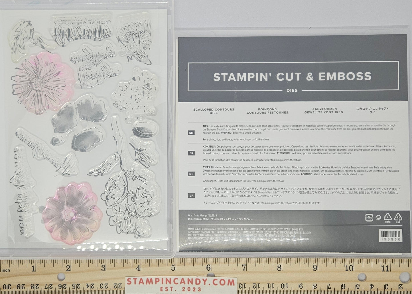 Stampin Up - Color & Contours with Scalloped Contours Dies